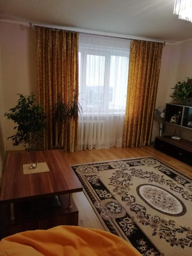 Vishenka Apartman Vinnicja Kültér fotó